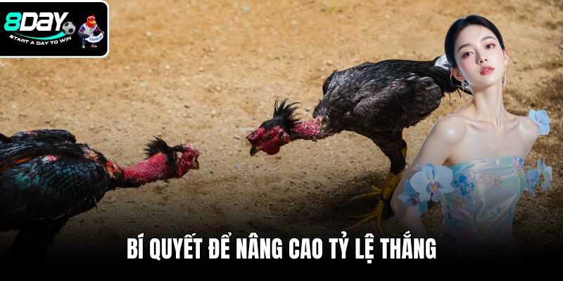 Bí quyết để nâng cao tỷ lệ thắng