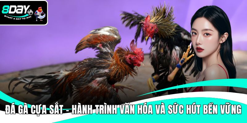 Đá gà cựa sắt